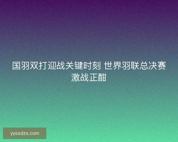 国羽双打迎战关键时刻 世界羽联总决赛激战正酣
